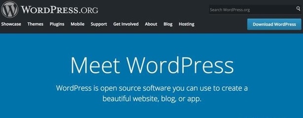 为什么我选择 WordPress 来建站？深入解析 9 大核心理由